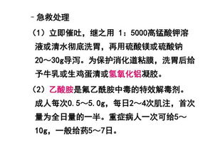 烹饪与膳食管理基础 现代餐饮管理的核心支柱